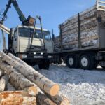 Почему выгодно покупать дрова в Компании «СИБИРСКИЕ-ДРОВА»