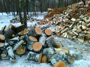 Как получить субсидию на дрова в Томске